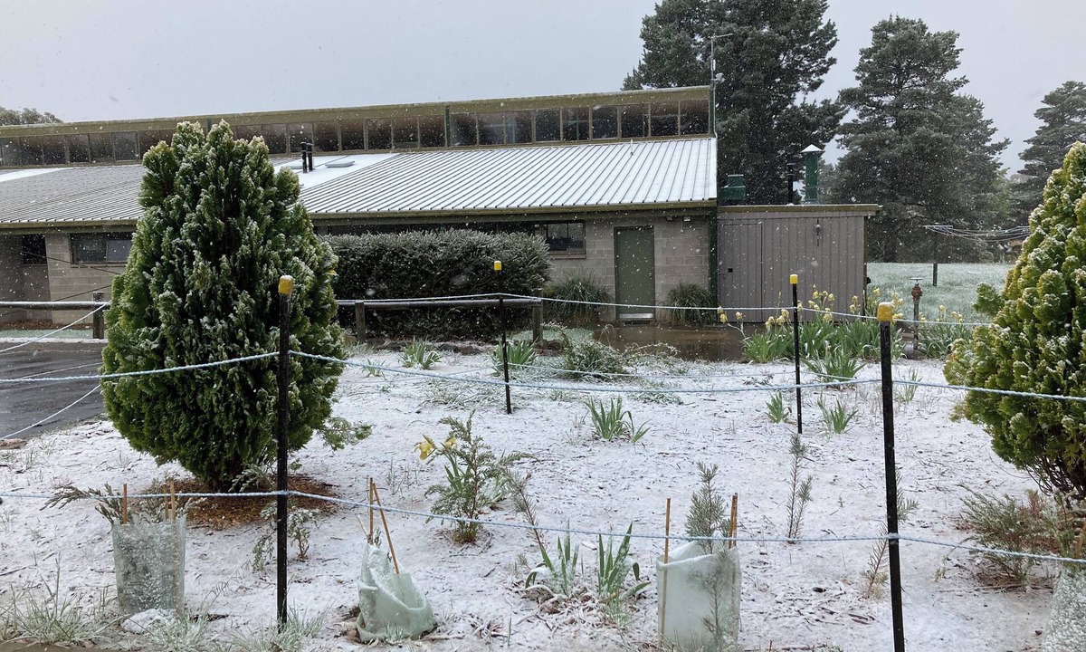 Jindabyne Cabin | Alpine Activity centre Lodge in Jindbyne sleeps up 90 people in shared facitlies