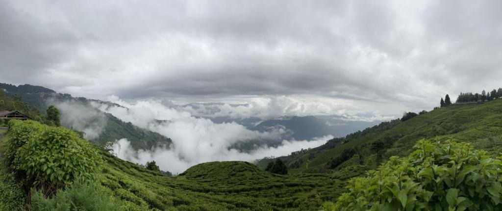 Darjeeling House | Athithi homestay