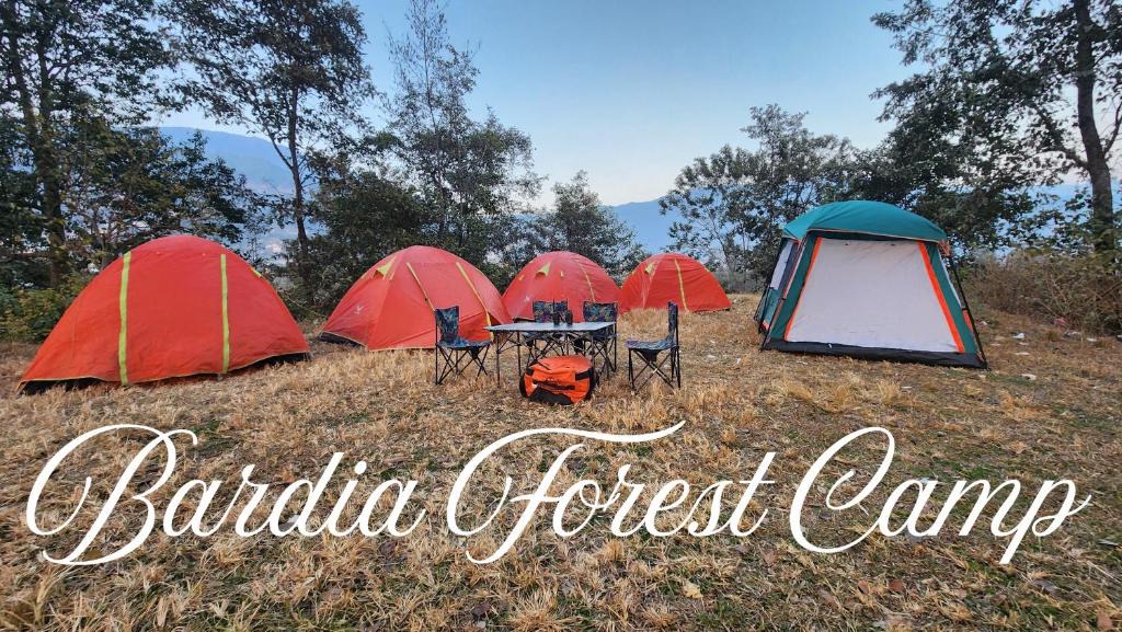 Bardia Other | Bardia Forest Camp