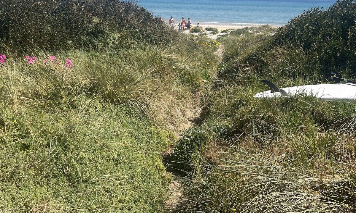 Aspendale Apartment | Beach Front Apartment