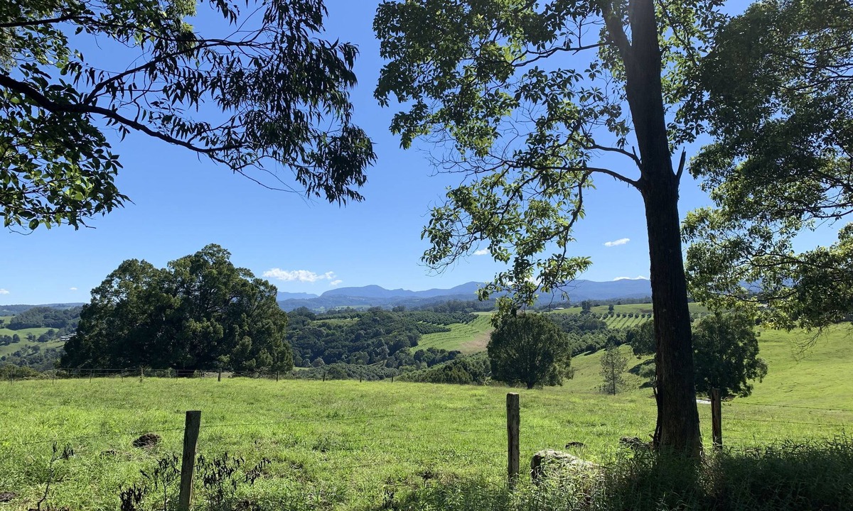 Dunoon Cabin | Beautiful Byron Hinterland.1 bedroom open plan cabin sleeps 4.