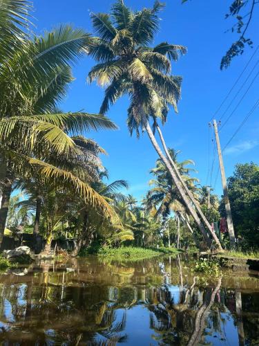 Aryad South Hostel | Birdwatching and kaya king for backpackers