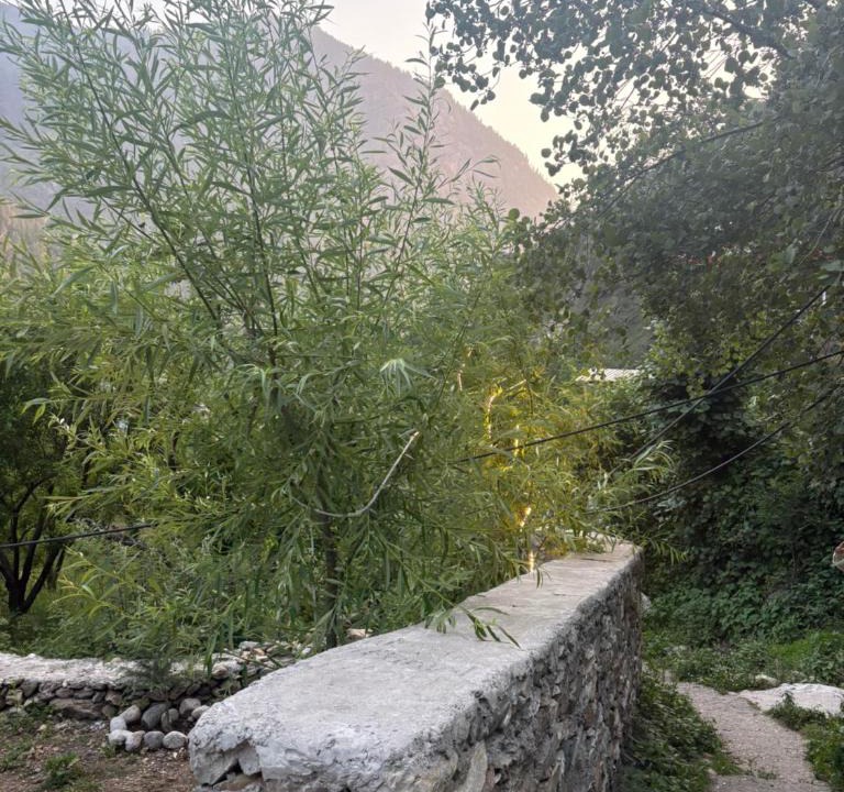 Vashist Hotel | Blue mountain stays