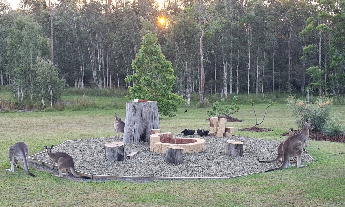 Gulmarrad Apartment | Brooms head Retreat accomodation