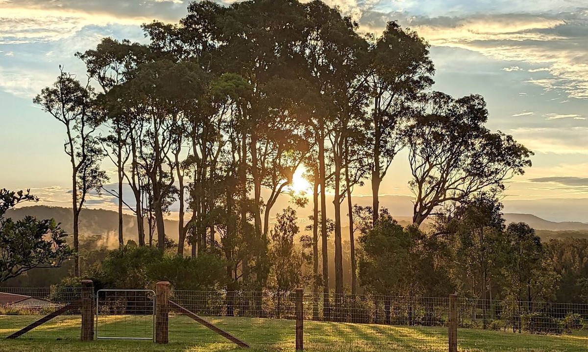 Coomba Park Other | Byadbo on Sunset Ridge