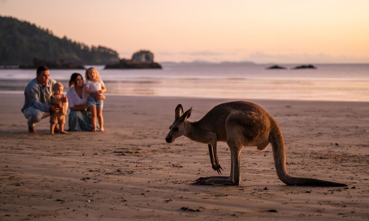 Cape Hillsborough Other | Cape Hillsborough Nature Tourist Park