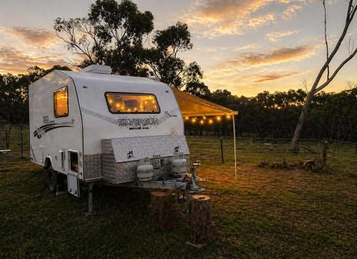 Limonite Other | Caravan Escape at Galahad's Animal Sanctuary