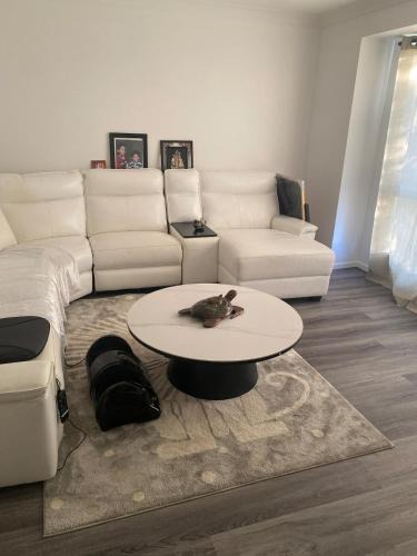 Springfield Lakes House | Casa Bella 1 Bedroom Available shared Quiet Home, Bath Tub, 2 Cats