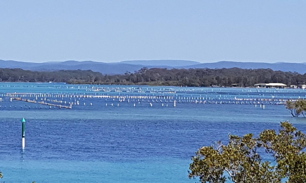 Forster Apartment | CHILL-OUT LAKESIDE * waterfront on wallis lake. Walk to the beach, shops, cafes!