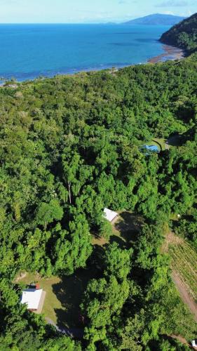 Cape Tribulation House | Coconut Beach House & Cottages