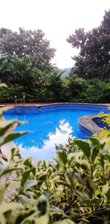 Yelagiri Hotel | dolphinresort