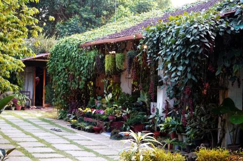 Belur House | Edgestay