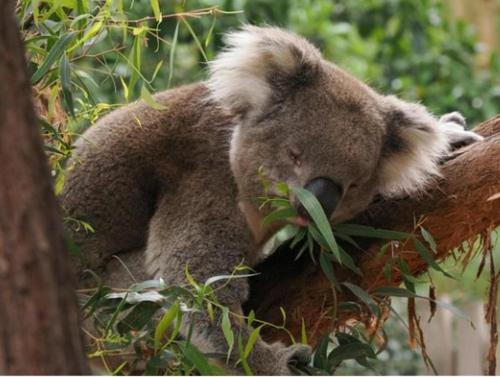 Heathcote House | Guesthouse Nature Escape Sleeps up to 6