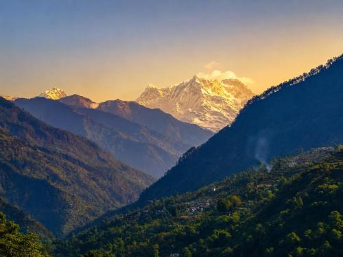 Guptkashi Hotel | Hotel vidya om palace kedarnath