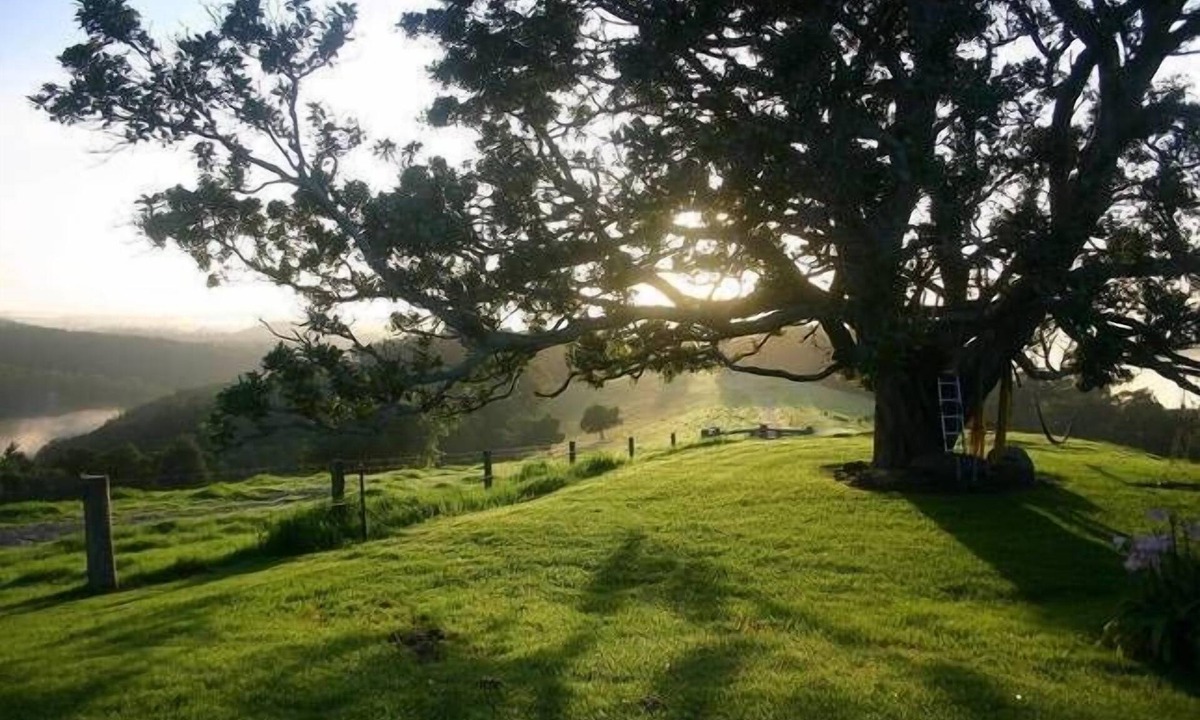 Little Forest Cottage | Kilfeacle Farm Cottage, Little Forest: rustic, off-grid, near Milton and beaches