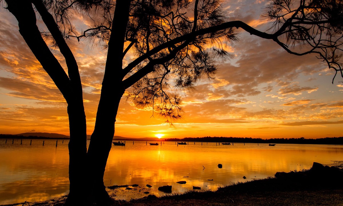 Forster Other | Lakeside Forster Holiday Park