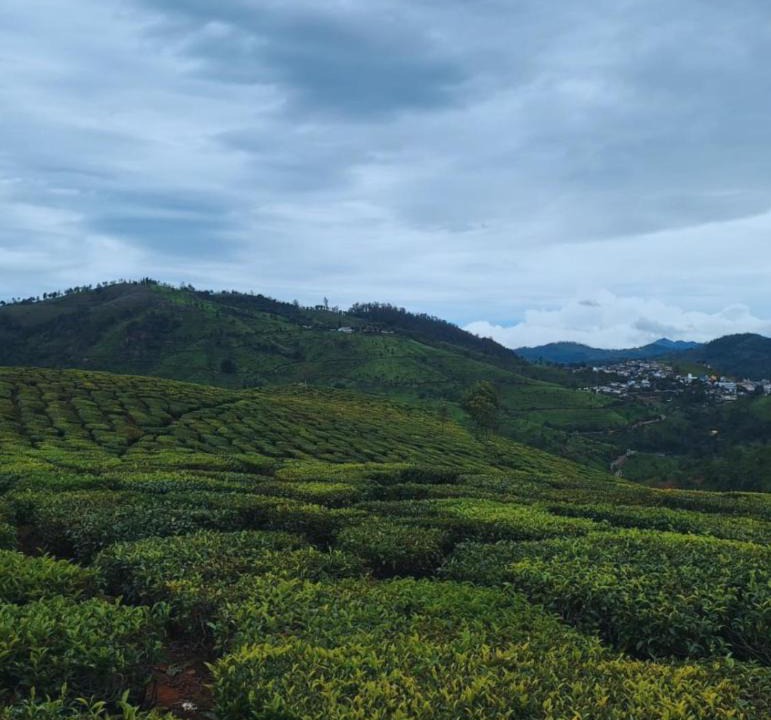 Wellington House | LexStays at Anughraha Coonoor