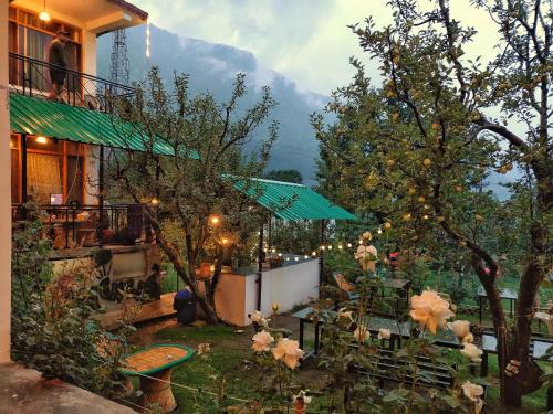 Old Manali Hostel | Madpackers Manali