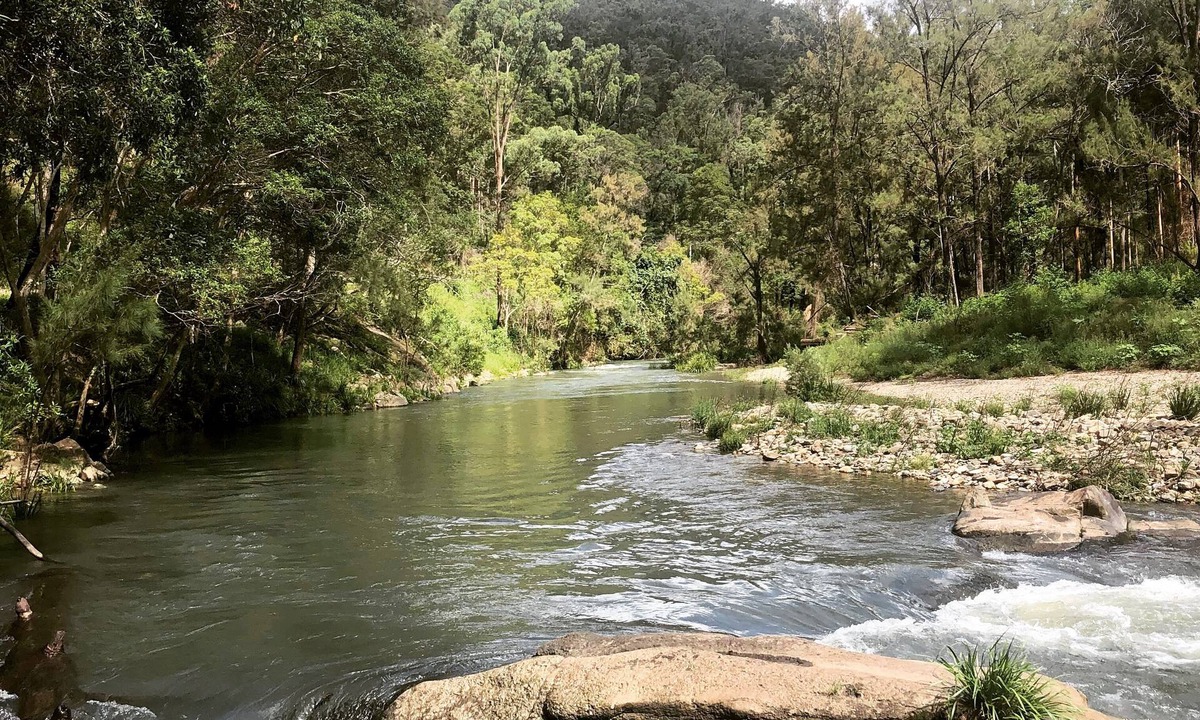 Moparrabah Cottage | Mid North Coast Macleay Valley Mountain Views - Pet Friendly Cottage