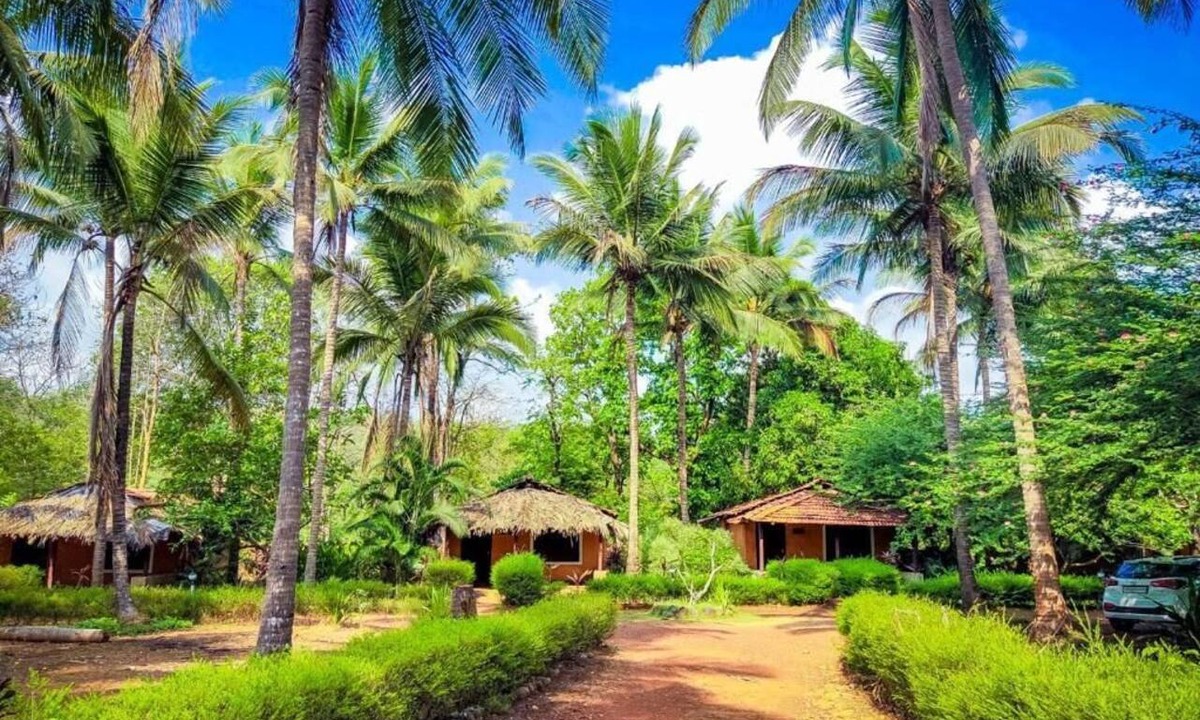 Sancordem Resort | Natures Nest Goa