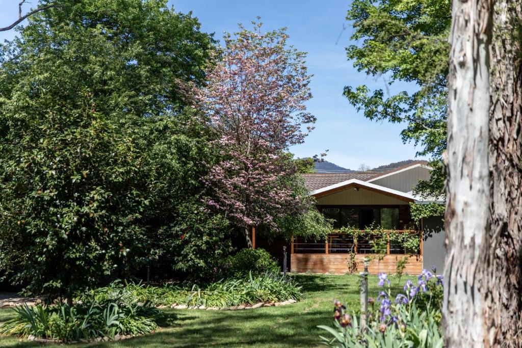 Bright House | Nest House Bright