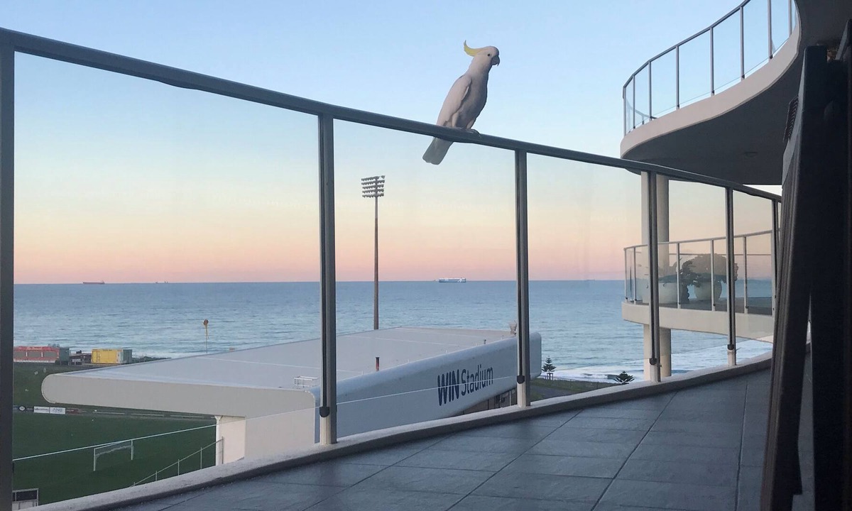 Wollongong CBD Apartment | Only July, Christmas last 2 weeks Dec/New years, Ocean view. 9th level Luxury