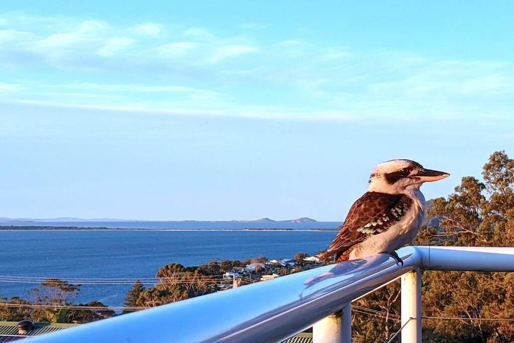 Nelson Bay House | Pacific Waters - Unbeatable Views of Port Stephens