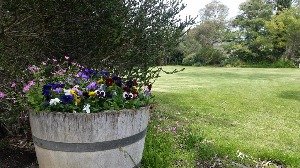 Parsons Other | Padthaway Caravan Park