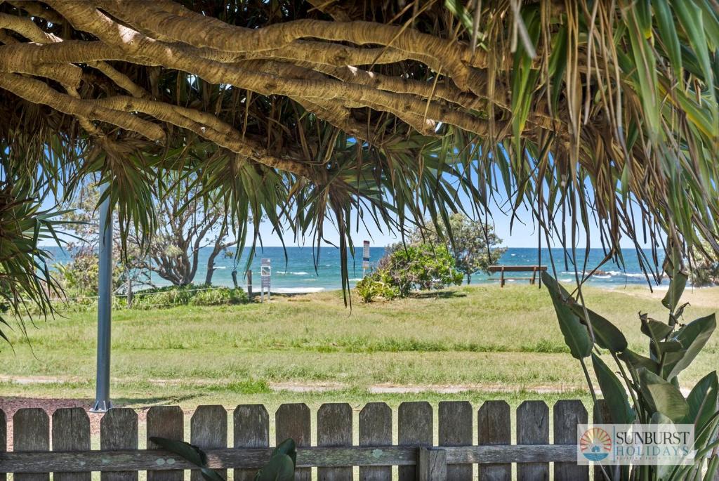 Emerald Beach House | Pandanus on Emerald