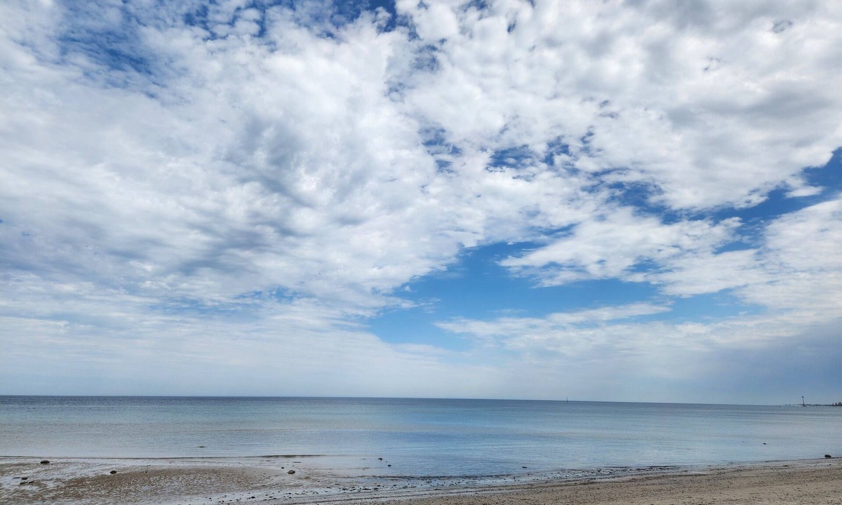 Marino Apartment | Private accessible, renovated studio just 700m from Seacliff beach.