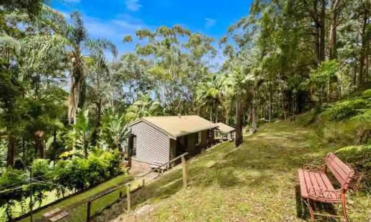 Central Coast House | Rainforest Retreat Set on 5 acres of rainforest.