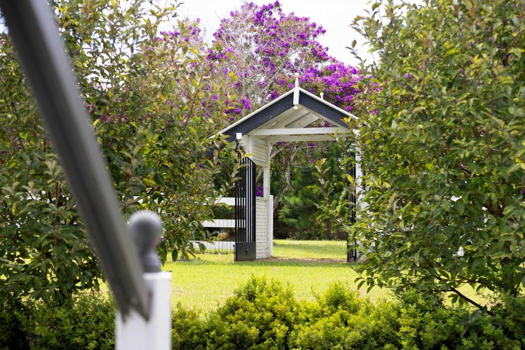 Witta House | Rambling Roses