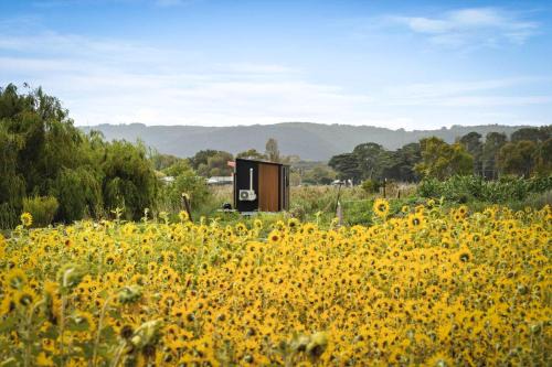 Boneo House | Revillaging Project by Tiny Away