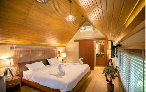 Quilon Resort | The Brook Serene - Nature Themed Boutique Resort Kollam