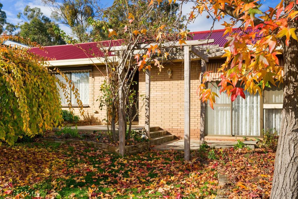 Castlemaine House | The Greenery