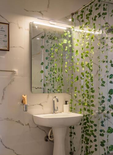 Bangalore City Center Apartment | The Studio Apartment - Central Bangalore