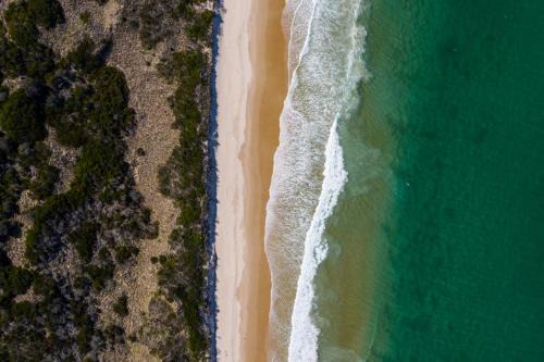 Beaumaris Hotel | The Surfside Beaumaris