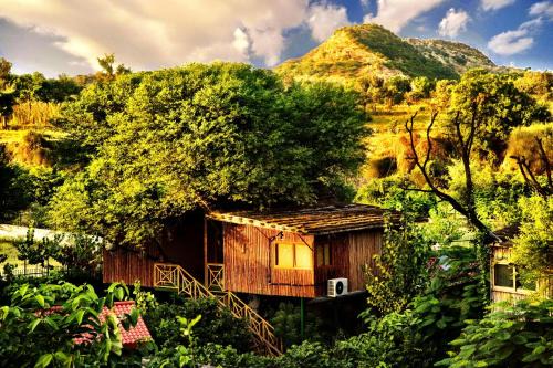 Jaipur Resort | The Tree House Resort, Jaipur- A Club Mahindra Associate