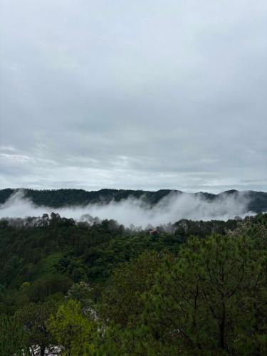 Dharampur Apartment | The Woods View Kasauli