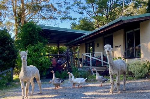 Termeil House | Tranquil farmhouse with sea view, dog friendly