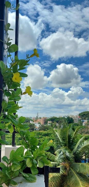 Bengaluru Apartment | Tree Top