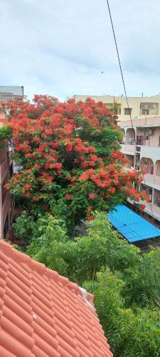 Vijayawada House | Truffles - Penthouse Terrace Bedroom