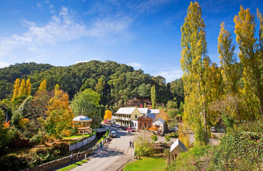 Walhalla Hotel | Walhalla's Star Hotel