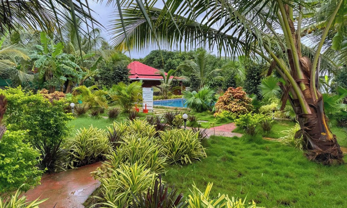 Arambol Hotel | White Truffle Resort