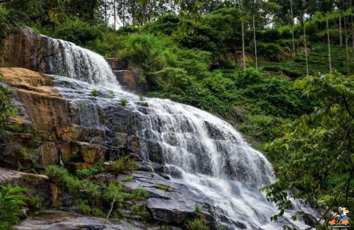 Kotagiri House | Unlisted