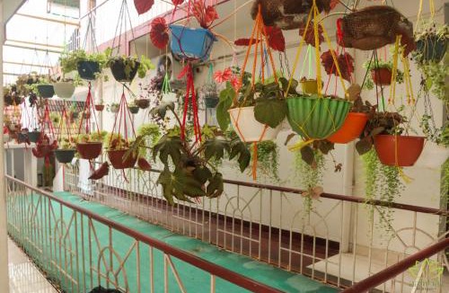 Fort Kochi Cabin | Aambal Residency