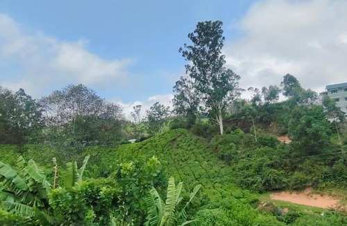 Munnar House | Alpha A cube