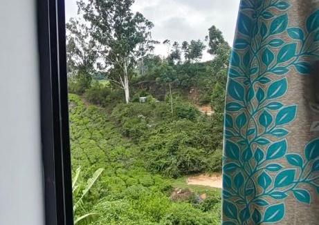 Munnar House | Alpha A cube