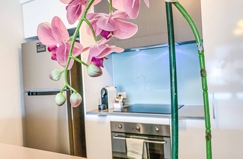 Fortitude Valley Apartment | Apartments on Connor