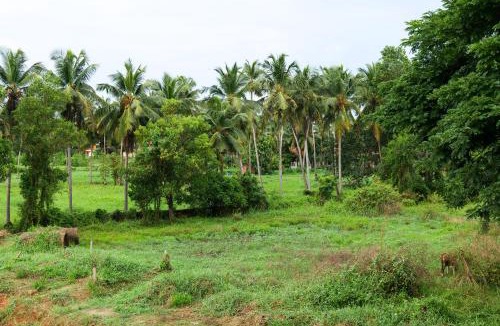 Mangalore House | Aranya Ocean Breeze